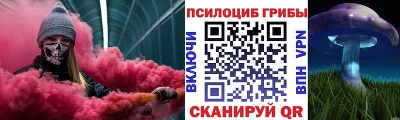 ОМГ ОМГ ТОР  Ярославль  Псилоцибиновые грибы Cubensis 